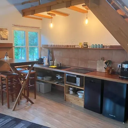 Alexanderhaus Apartment